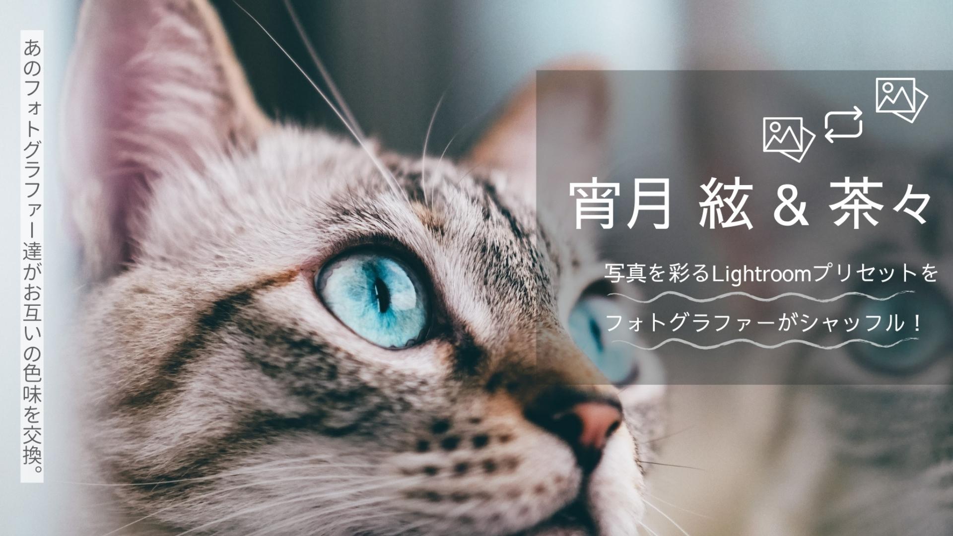 ファーストビュー